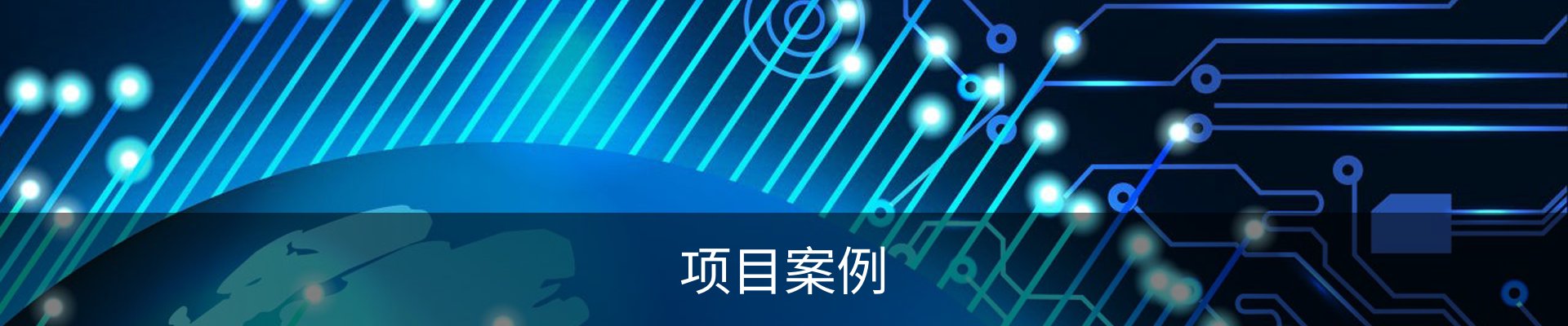 项目案例